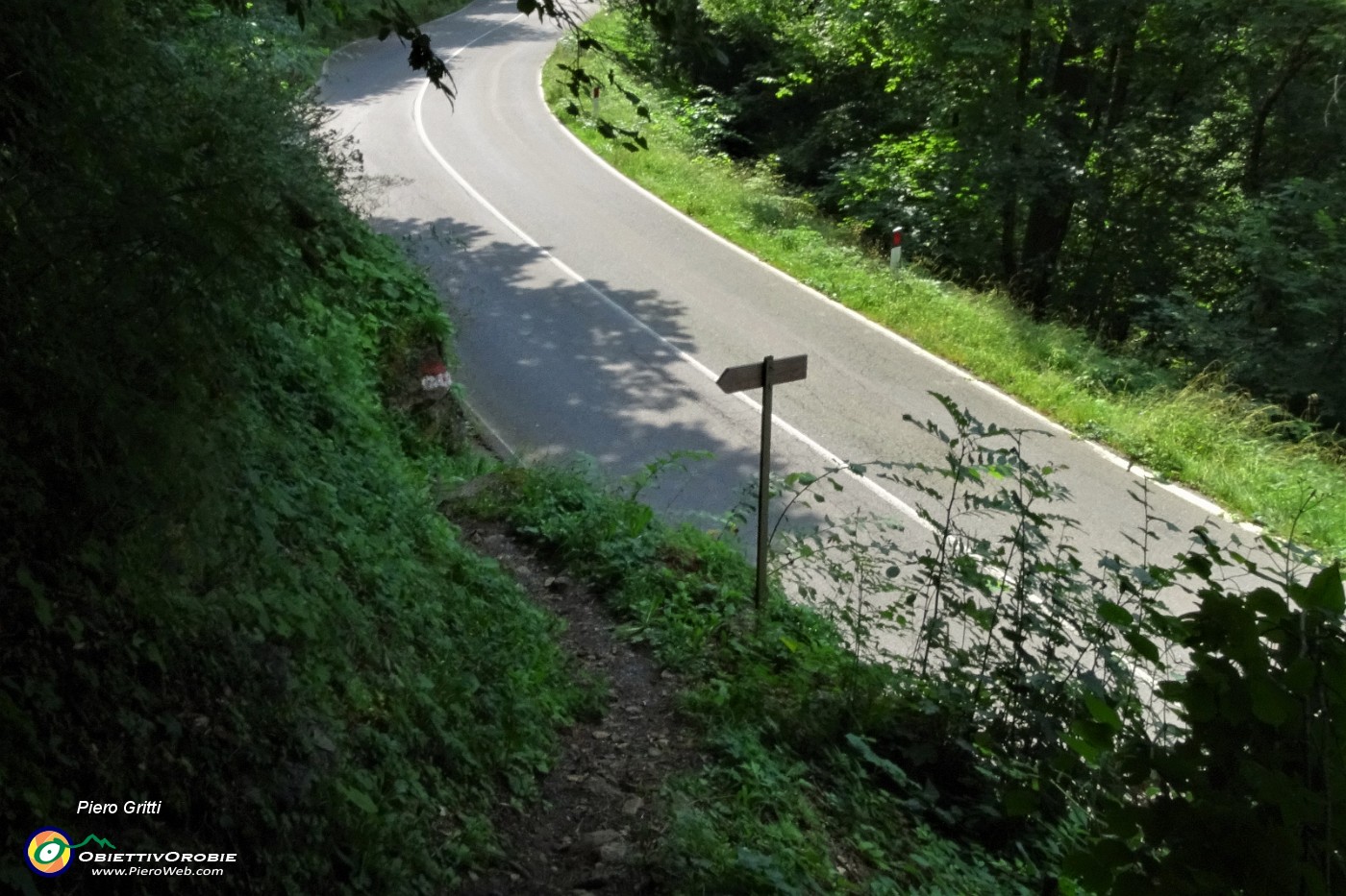 71 Dal bosco arrivo sulla strada asfaltata.JPG